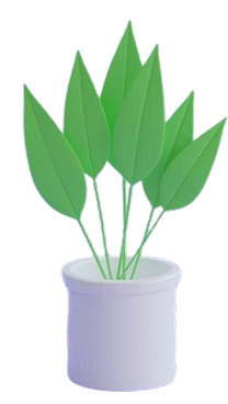 flower image